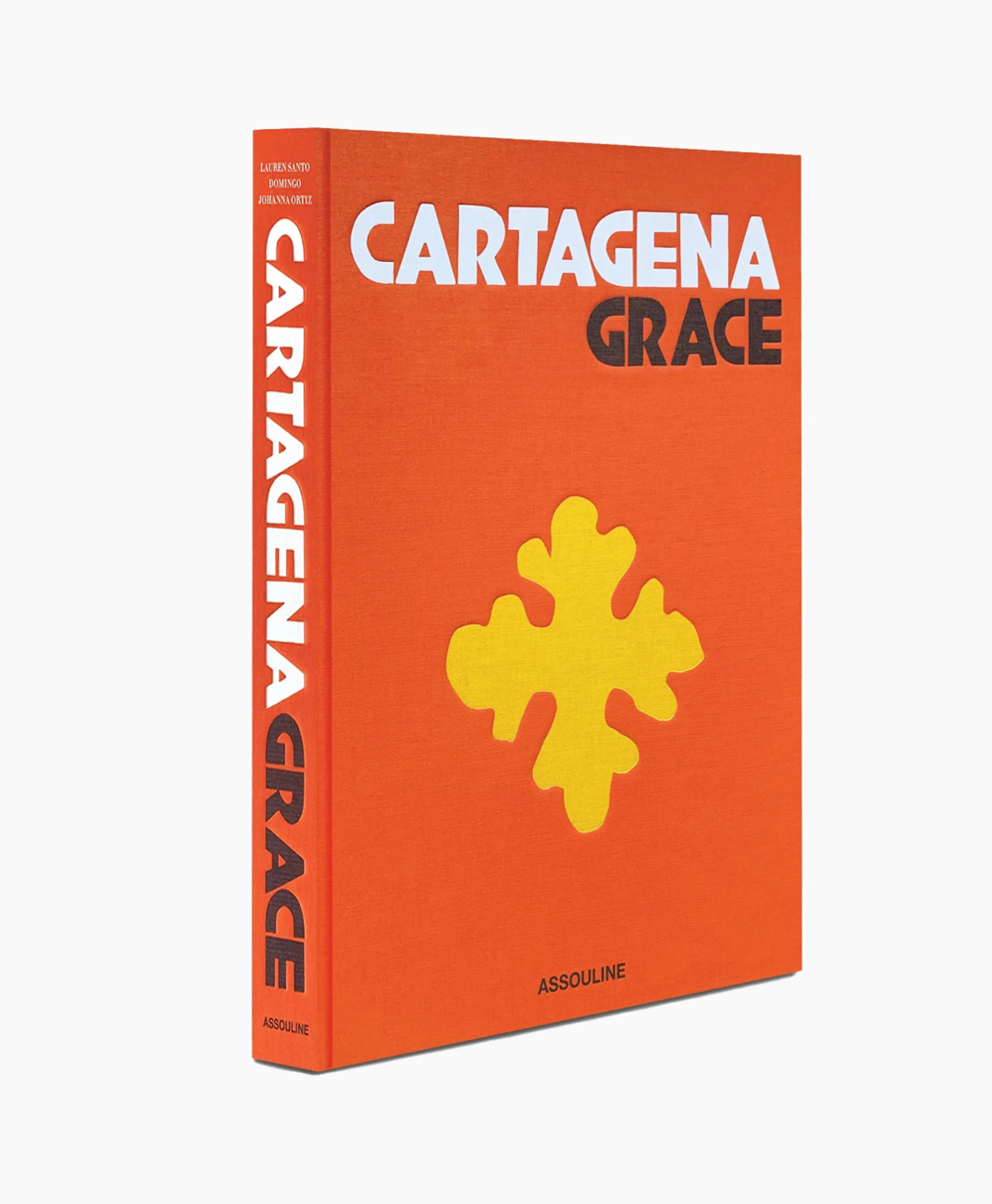 Assouline Boek Cartagena Grace Diversen*Lifestyle Lifestyle